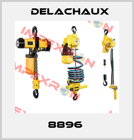 8896  Delachaux