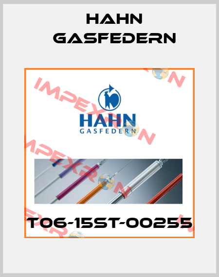 T06-15ST-00255 Hahn Gasfedern