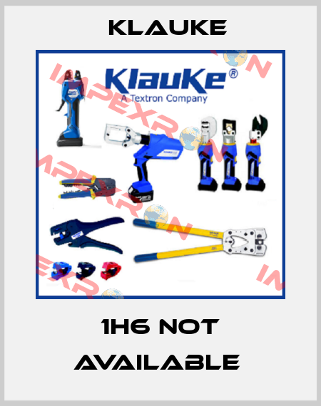 1H6 not available  Klauke