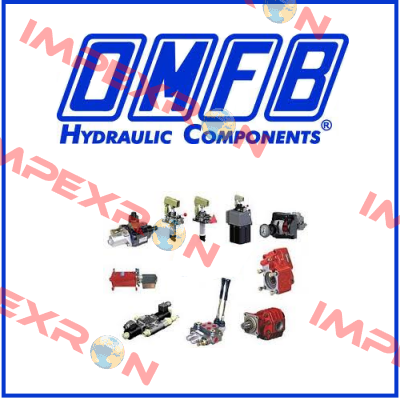 M10601100011  OMFB Hydraulic