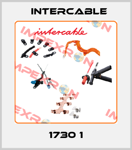 1730 1 Intercable