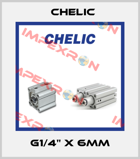 G1/4" x 6mm Chelic