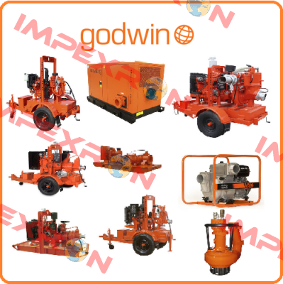1607668011 Godwin Pumps