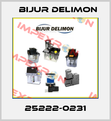 25222-0231 Bijur Delimon