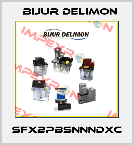 SFX2PBSNNNDXC Bijur Delimon