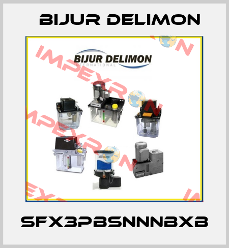 SFX3PBSNNNBXB Bijur Delimon