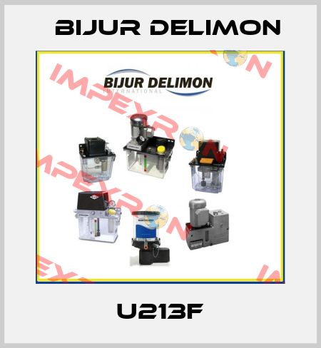 U213F Bijur Delimon