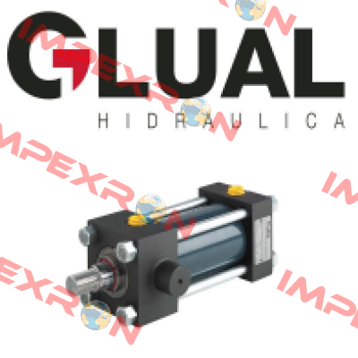 KI-40/28X500-B203-2-AD-A-1-M-30 Glual Hydraulics