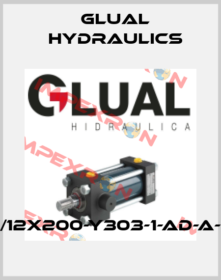 KI-25/12X200-Y303-1-AD-A-M-30 Glual Hydraulics