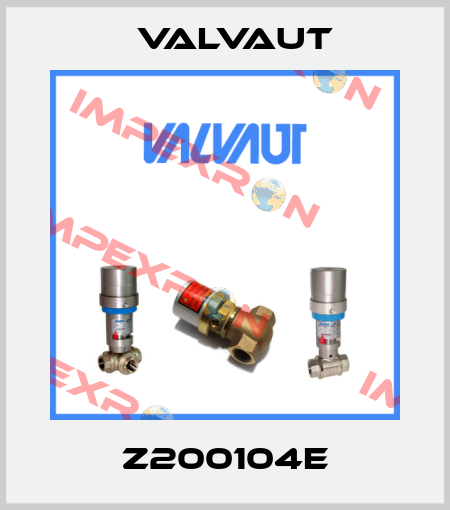 Z200104E Valvaut