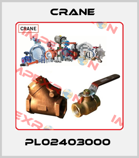 PL02403000  Crane