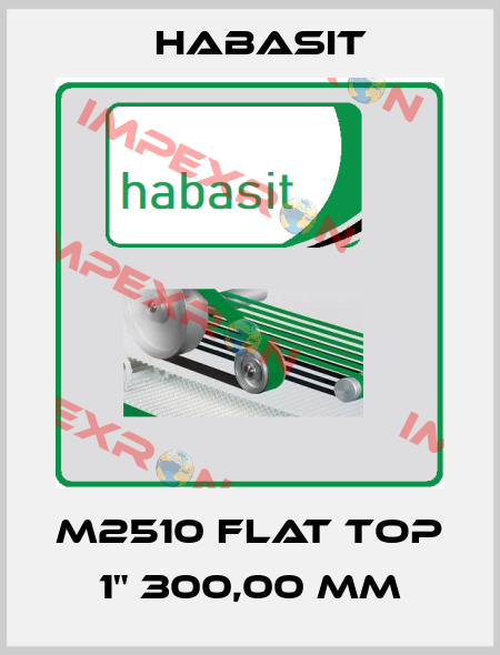 M2510 Flat Top 1" 300,00 mm Habasit