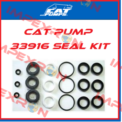 33916 Cat Pumps