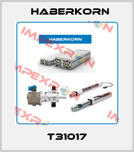 T31017 Haberkorn