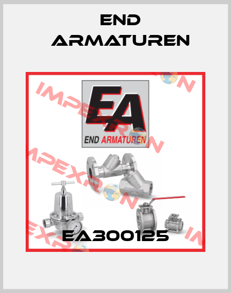 EA300125 End Armaturen