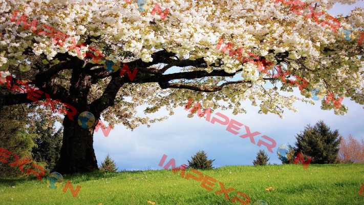 P/N: 117330,Type: CES-I-AP-M-C04-U20-117330 De-Test DENEME