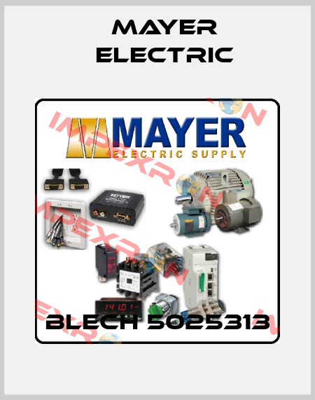 BLECH 5025313 Mayer Electric