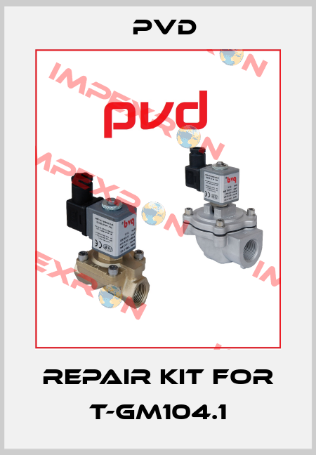 repair kit for T-GM104.1 Pvd