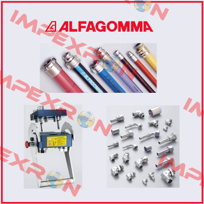 DN10-1/4" BSP K:02055 Alfagomma