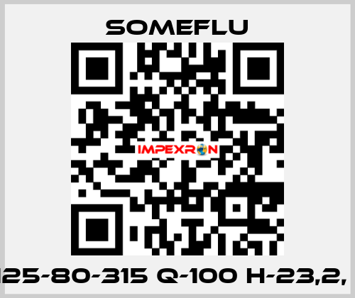 NP-S 125-80-315 Q-100 H-23,2, Ф-280 SOMEFLU