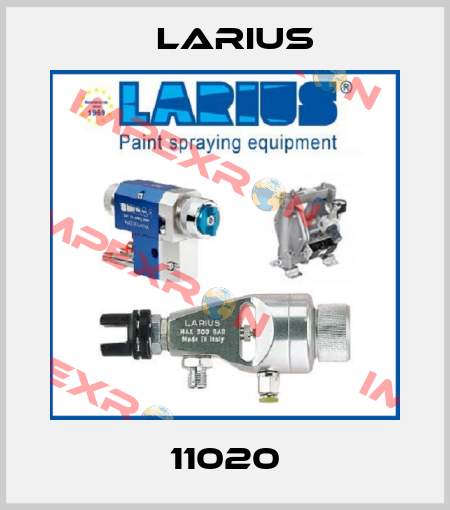 11020 Larius