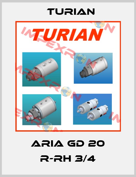 ARIA GD 20 R-RH 3/4 Turian