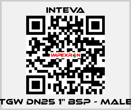 TGW DN25 1" BSP - male Inteva