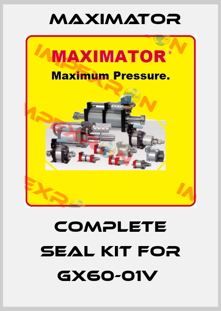 Complete seal kit for GX60-01v  Maximator