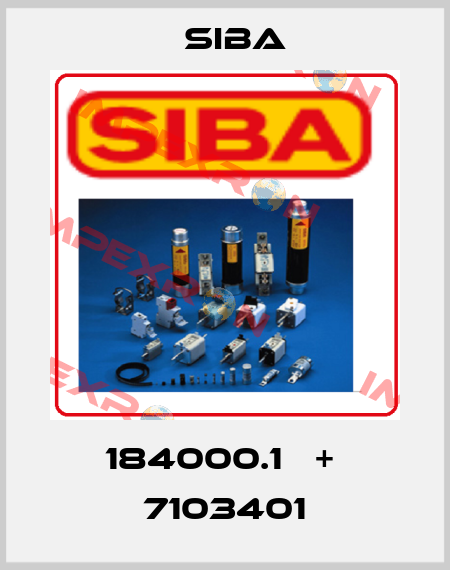 184000.1   +  7103401 Siba