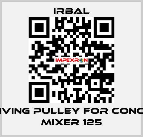 receiving pulley for Concrete mixer 125 irbal