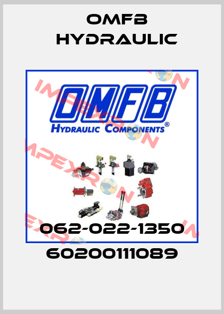062-022-1350 60200111089 OMFB Hydraulic