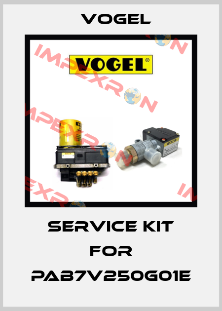 service kit for PAB7V250G01E Vogel