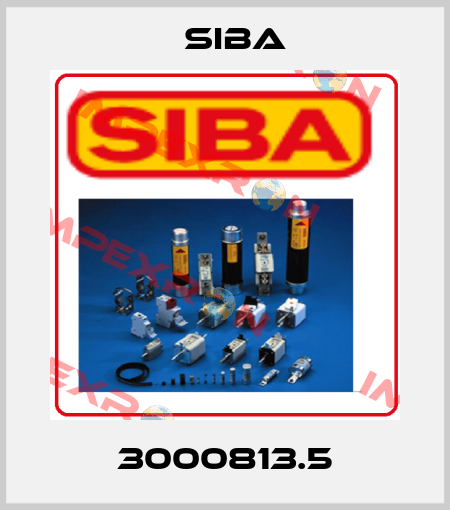 3000813.5 Siba