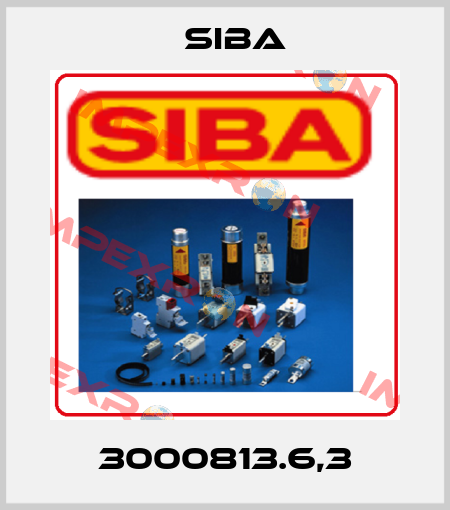 3000813.6,3 Siba