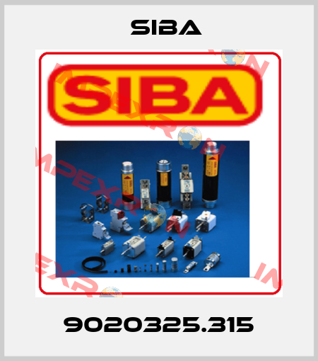 9020325.315 Siba