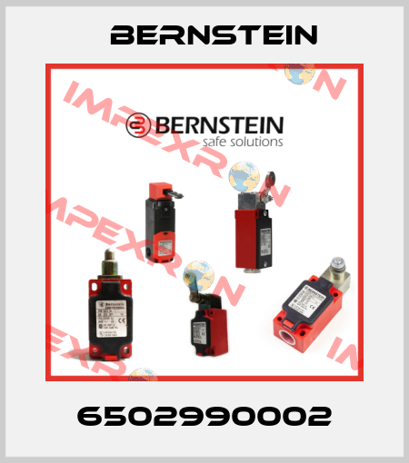 6502990002 Bernstein