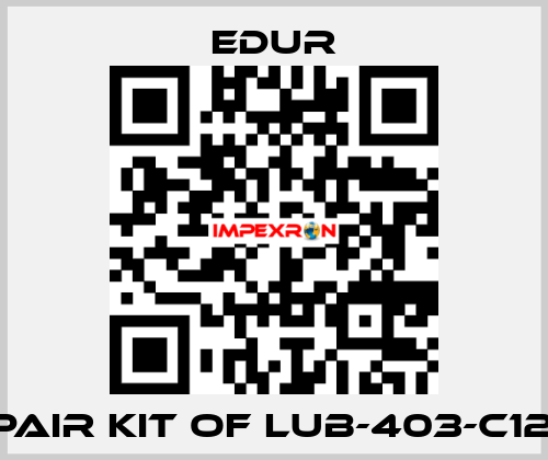 REPAIR KIT OF LUB-403-C120L  Edur