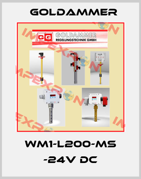 WM1-L200-MS -24V DC Goldammer