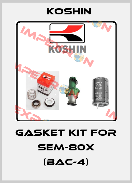 gasket kit for SEM-80X (BAC-4) Koshin