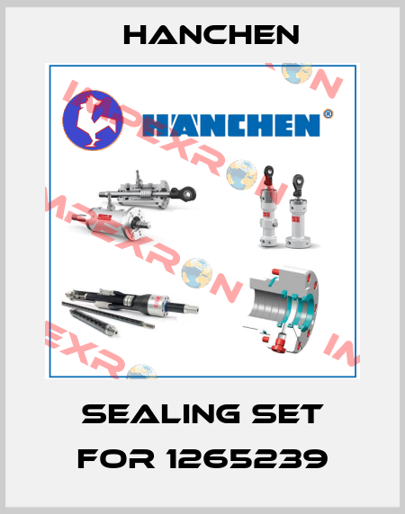Sealing set for 1265239 Hanchen