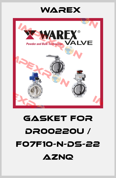 Gasket for DR00220U / F07F10-N-DS-22 AZNQ Warex