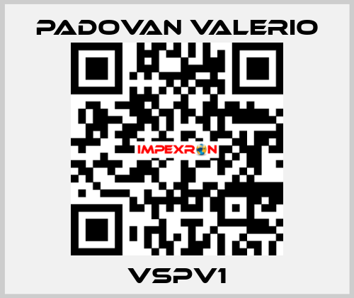 VSPV1 PADOVAN VALERIO
