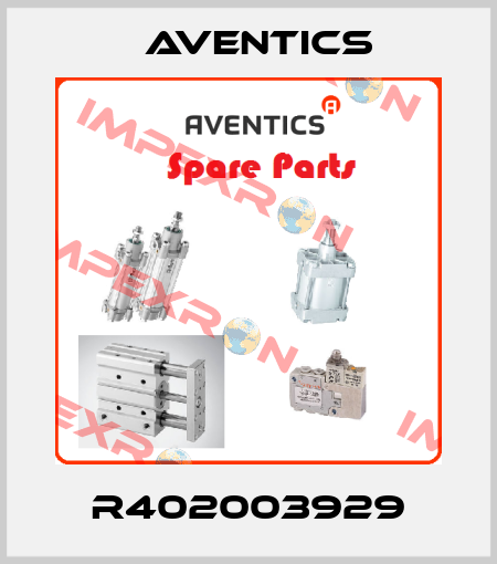 R402003929 Aventics