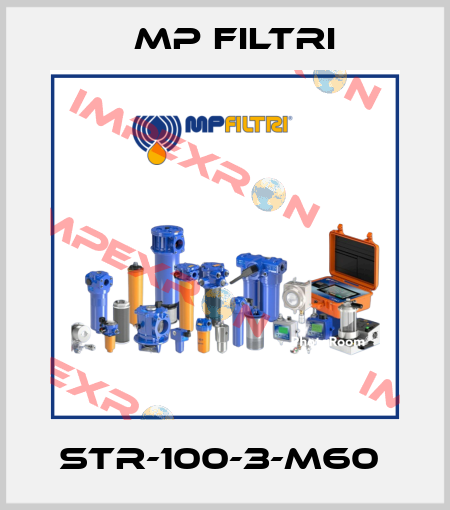 STR-100-3-M60  MP Filtri