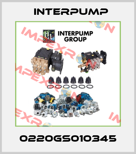 0220GS010345 Interpump