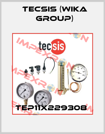 TEP11X229308  Tecsis (WIKA Group)