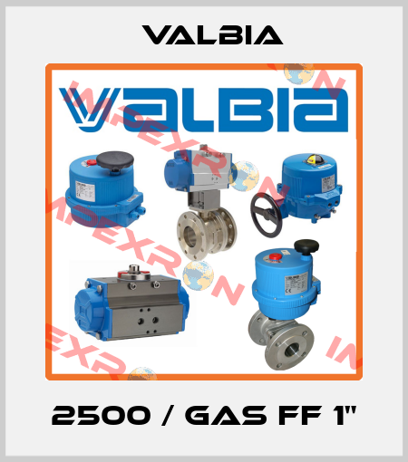 2500 / GAS FF 1" Valbia