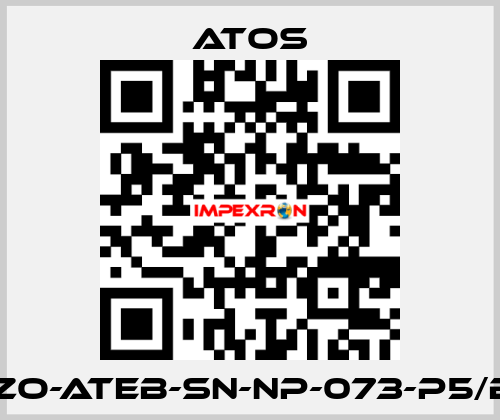 DPZO-ATEB-SN-NP-073-P5/B 10 Atos