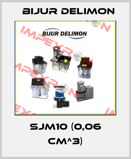 SJM10 (0,06 cm^3) Bijur Delimon