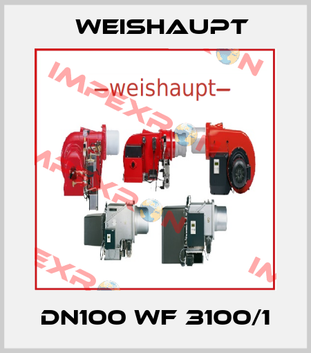DN100 WF 3100/1 Weishaupt